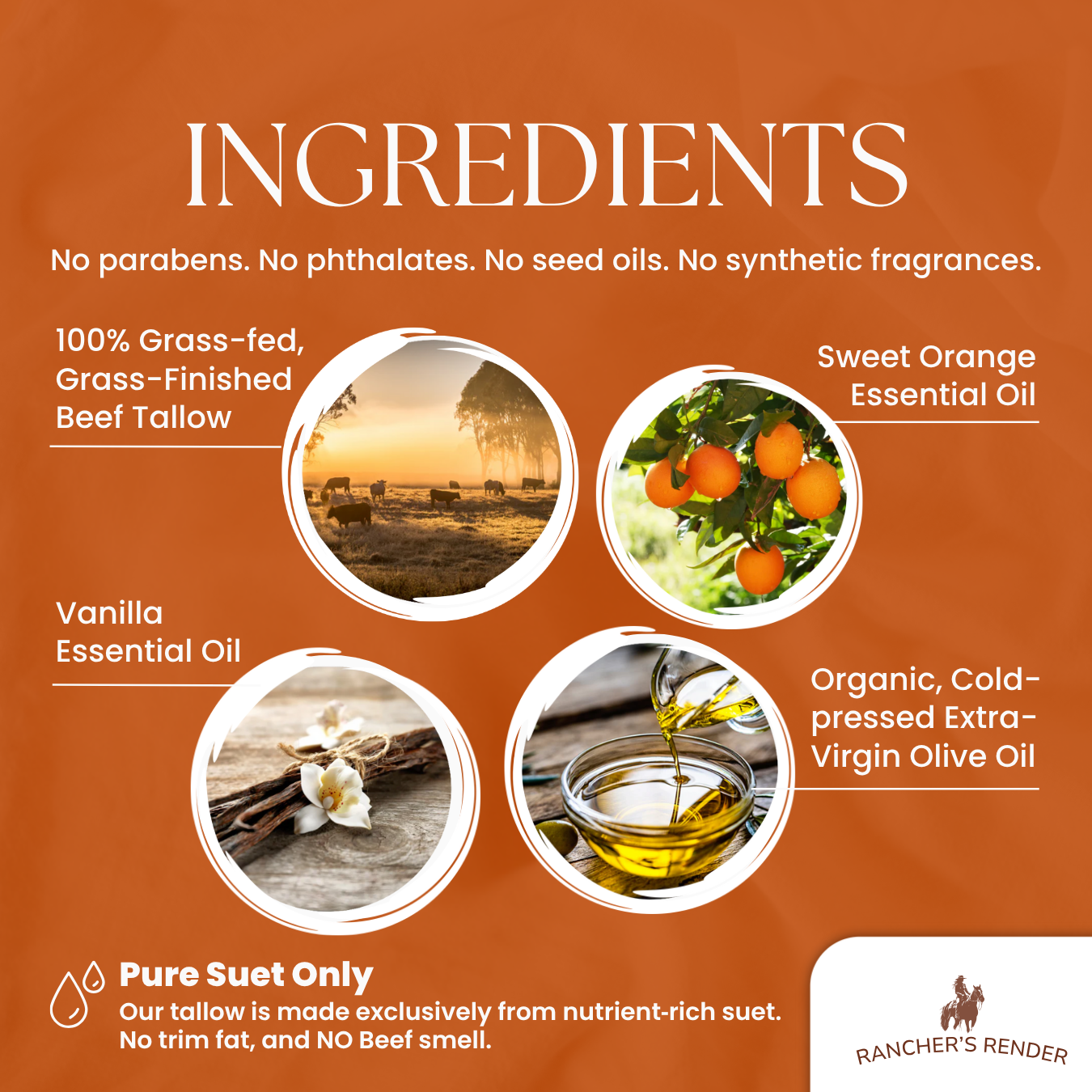 Infographic showing Citrus Vanilla Whipped Tallow Cream made with 100% grass-fed beef suet and no synthetic ingredients
