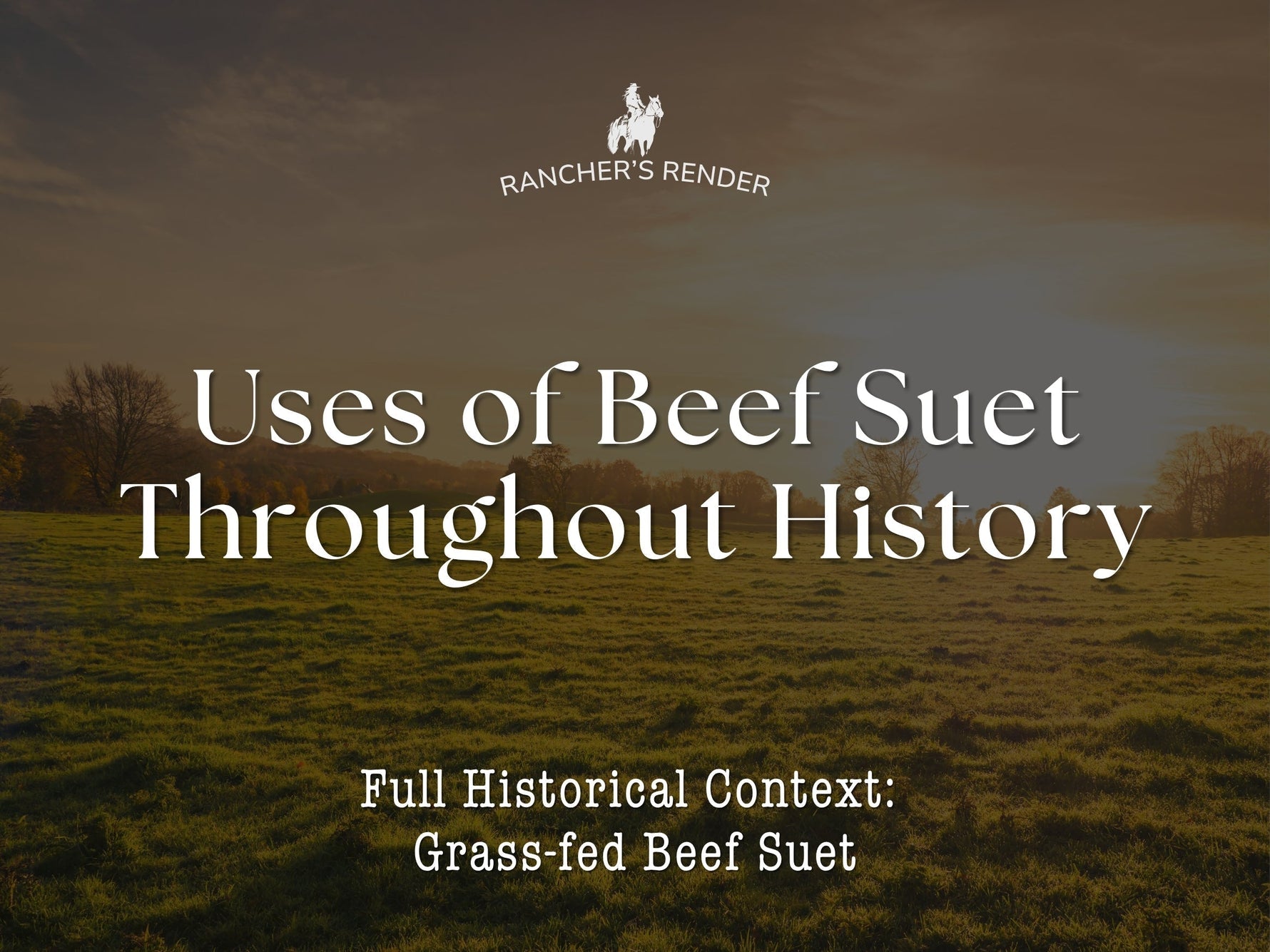 Deep Dive into the Historical Uses of Grass Fed Beef Suet Blog Cover Photo