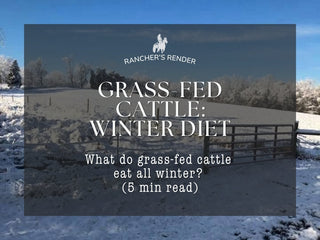 What Do Grass-Fed Cows Eat in the Winter? A Working NJ Ranch Explains