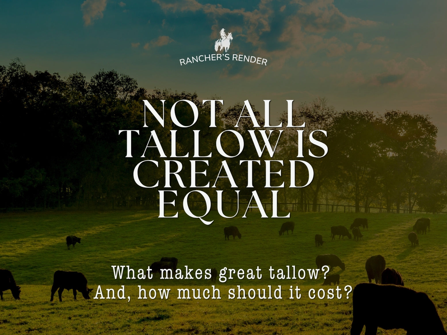 Clean Ingredients, Trusted Standards. How to Choose Quality Tallow Skincare