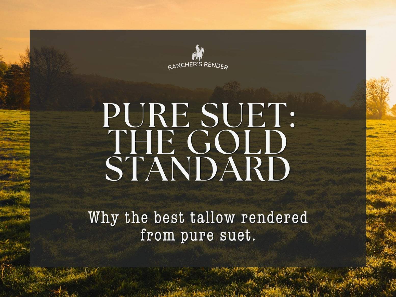 What Is Suet—and Why It’s the Gold Standard