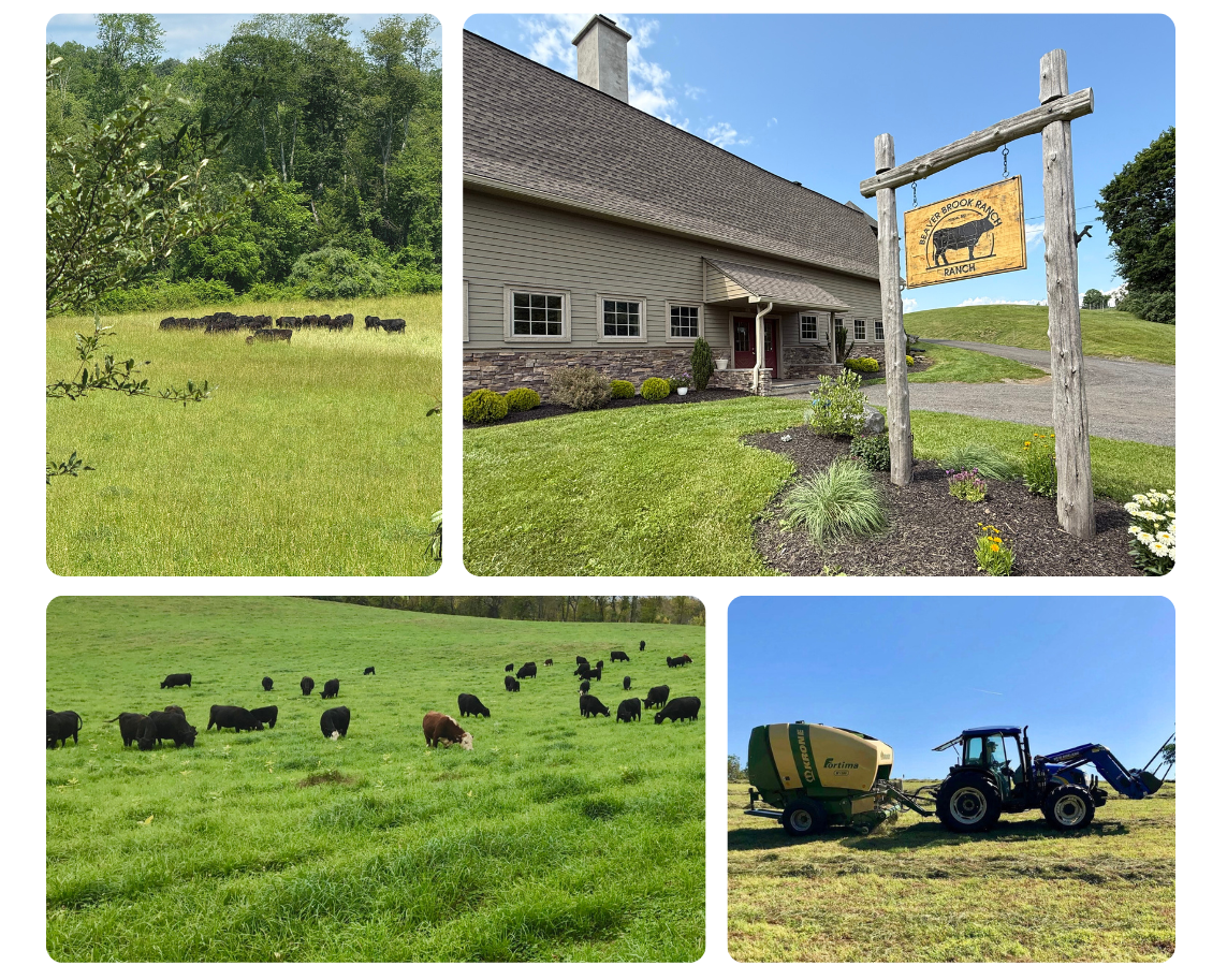Collage of a farm with cows, a house, a sign, and farming equipment.