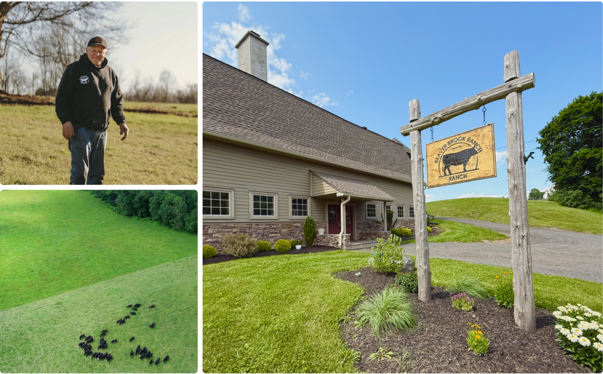 A five-panel collage showcasing a rural farm lifestyle: a large green pasture with grazing cattle, a man standing in a field, a rustic wooden sign in front of a farmhouse, another pasture view with cattle, and a close-up of the grassy landscape.